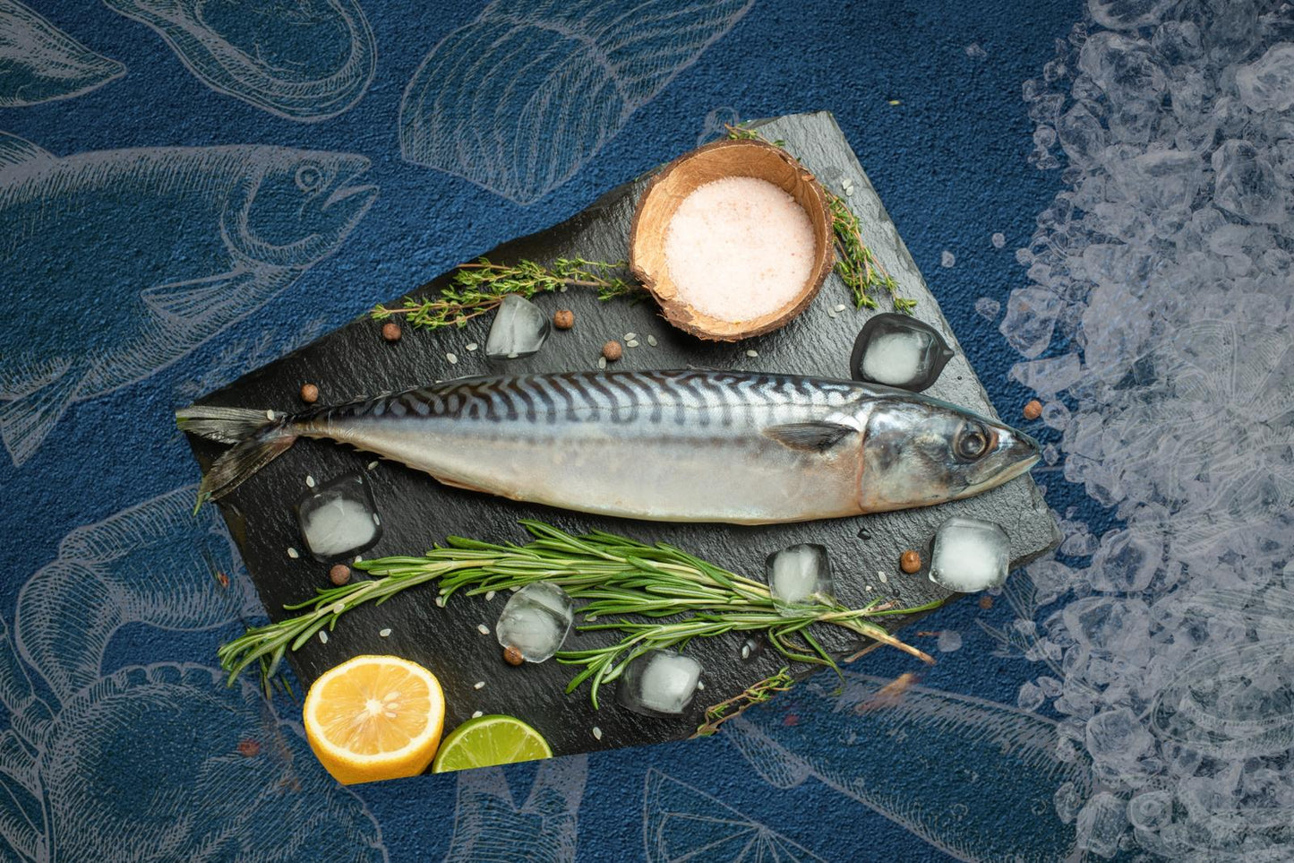 Fresh Mackerel
