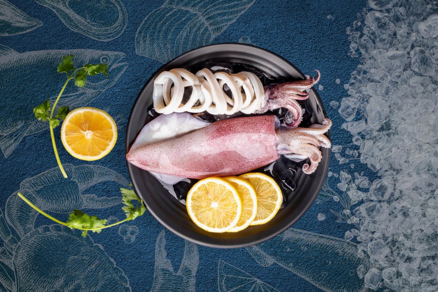 Local Squid (500g)