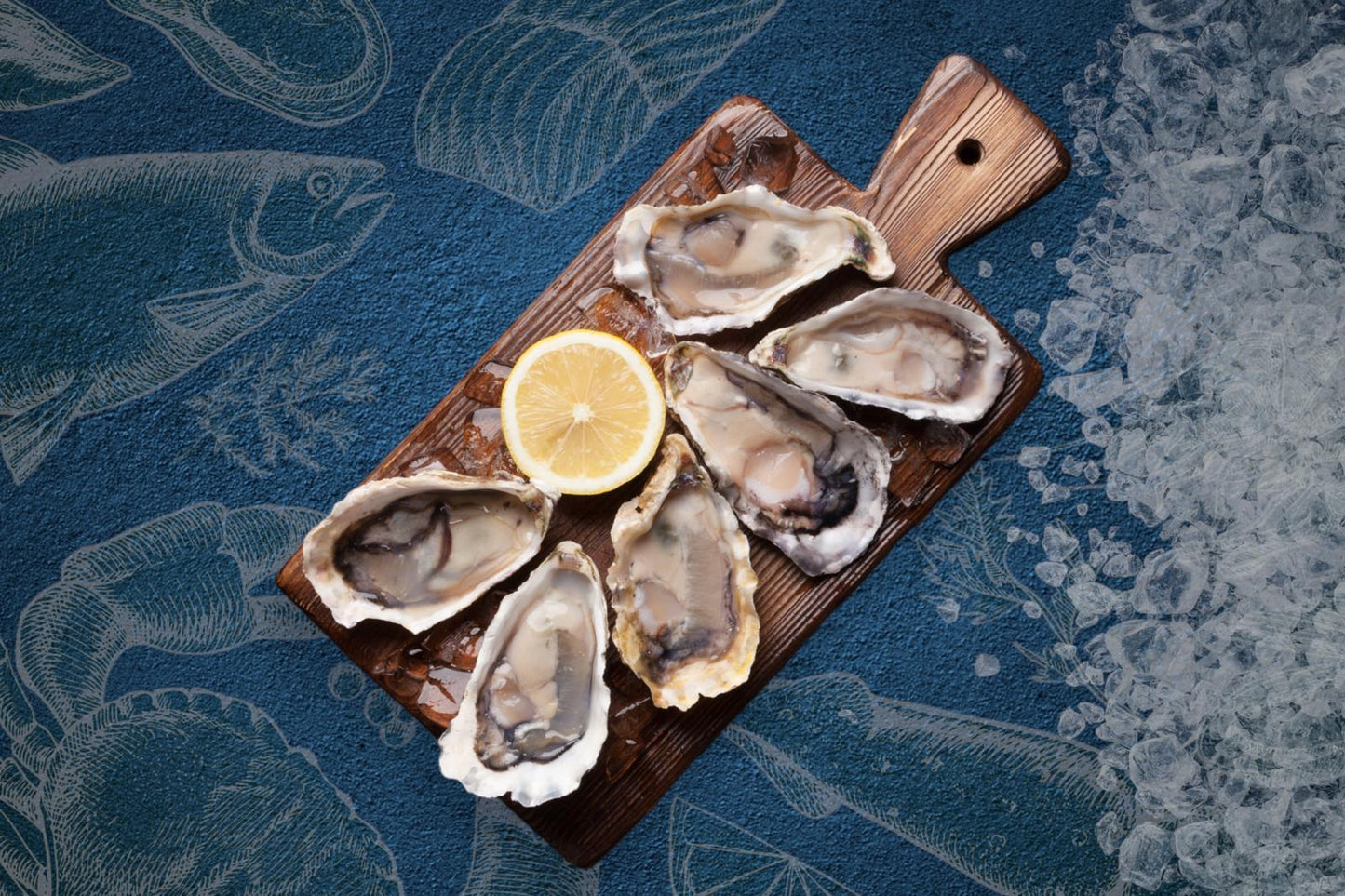 Rock Oyster