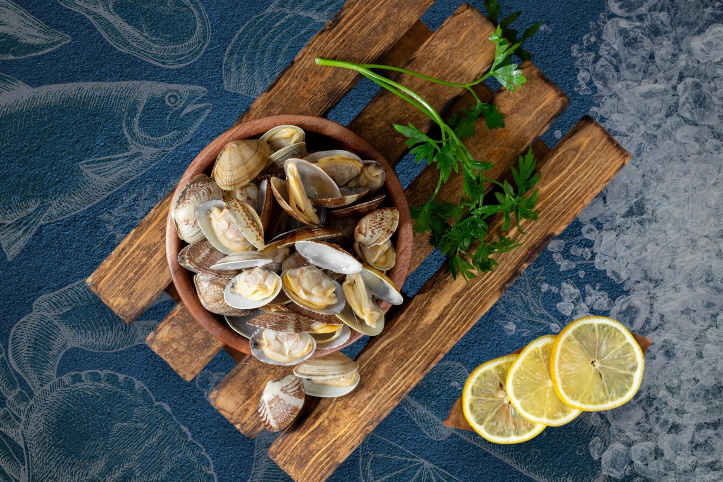 Palourde Clams