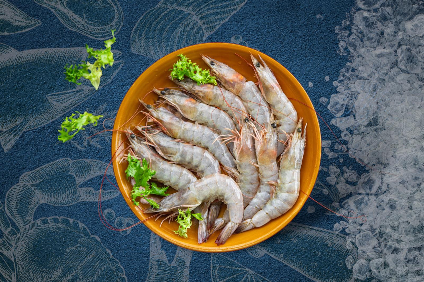 Head on Tiger Prawns
