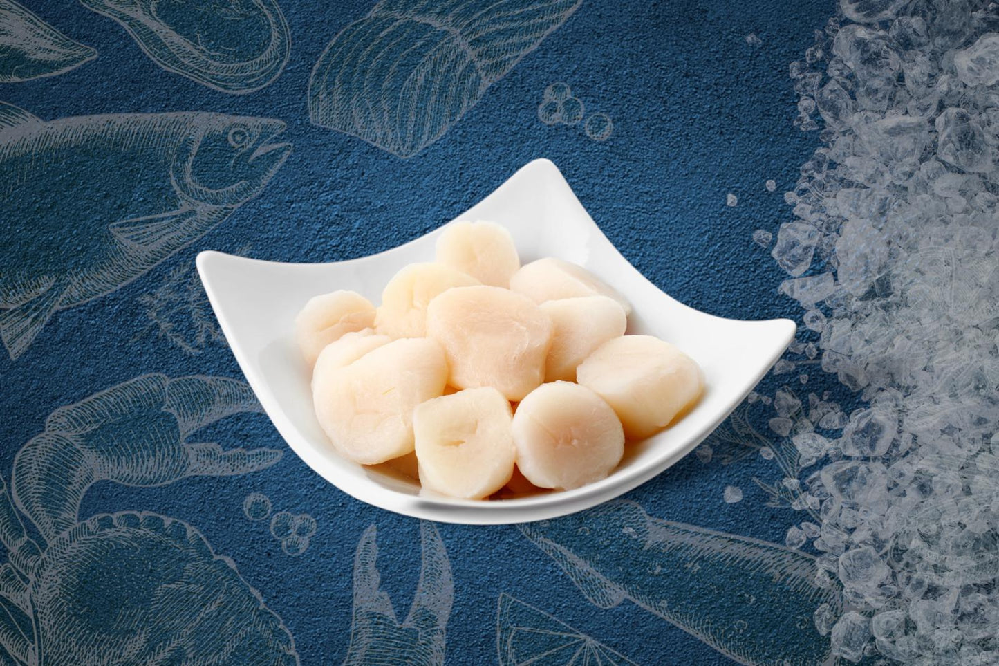 Roeless Scallops (500g)