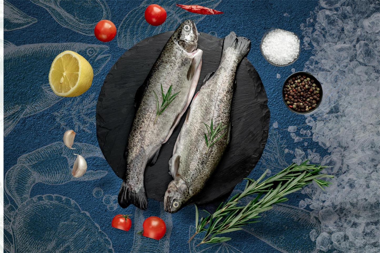 Hampshire Rainbow Trout