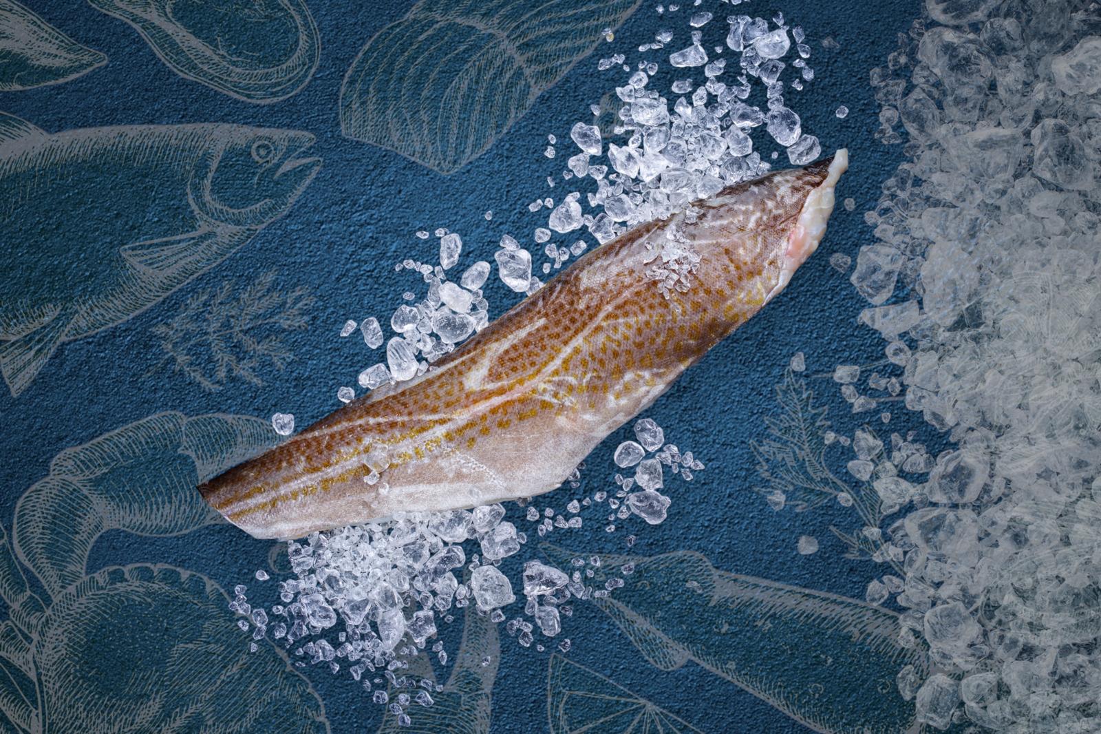 Cod Fillets – Fins & Scales Fishmongers