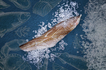 Cod Fillets