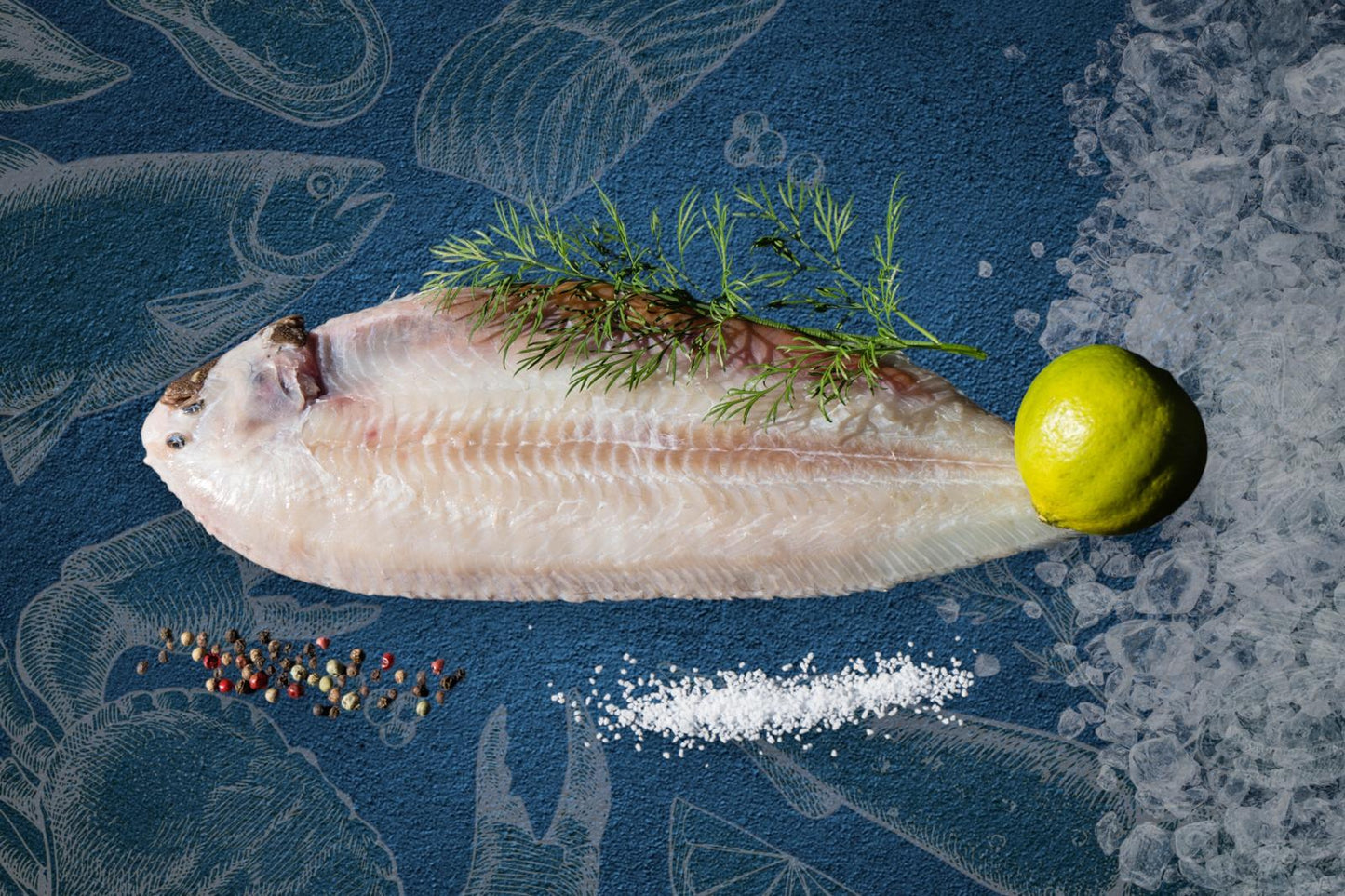 Dover Sole (M)