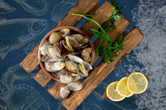 Palourde Clams