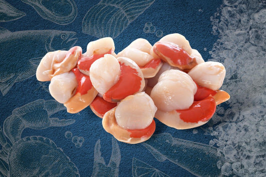 King Scallops (500g)