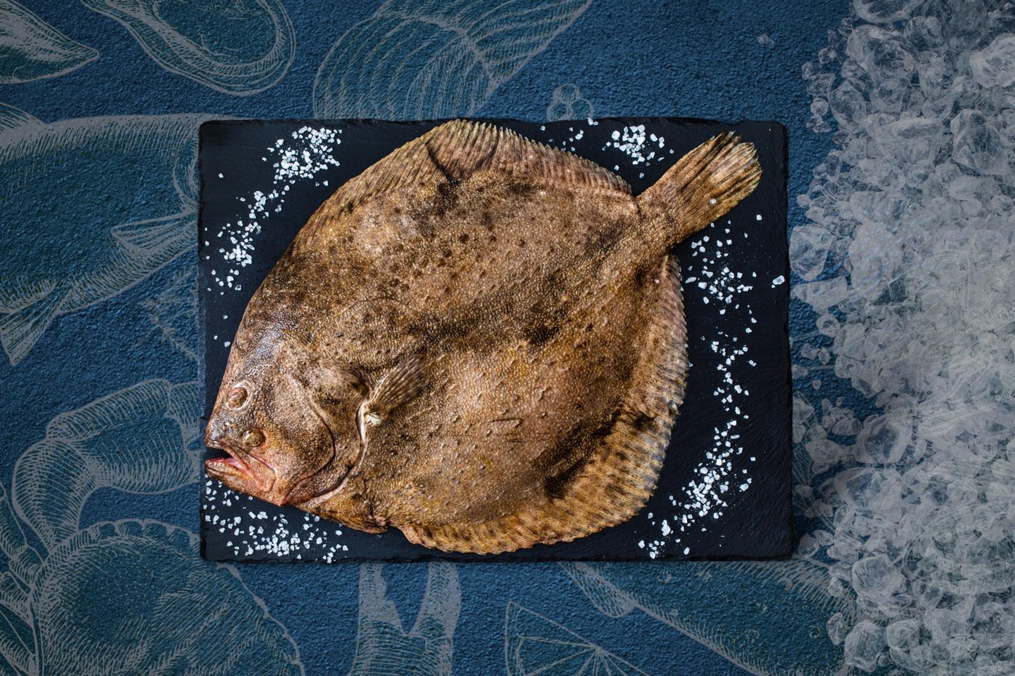 Turbot Fillets
