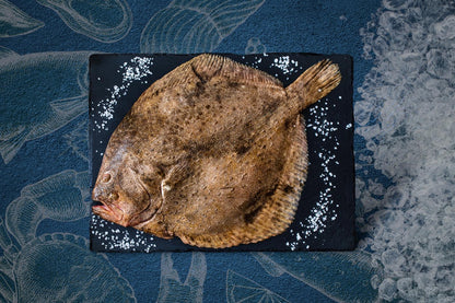Turbot Fillets