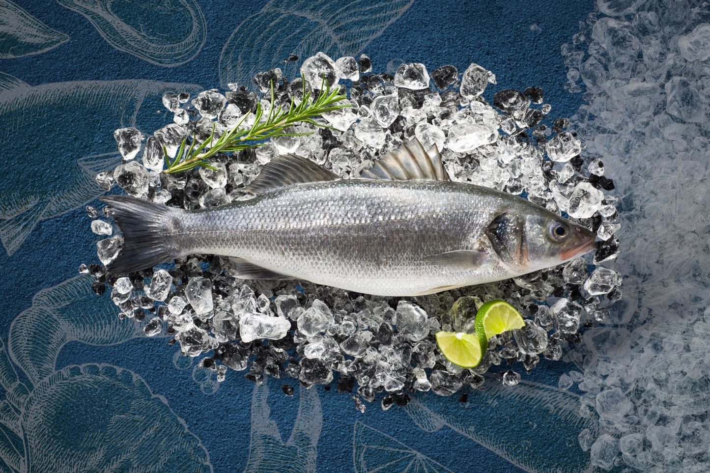 Whole Wild Sea Bass (L)