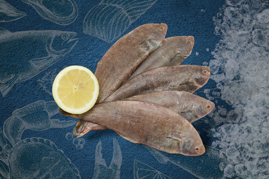 Dover Sole (S)