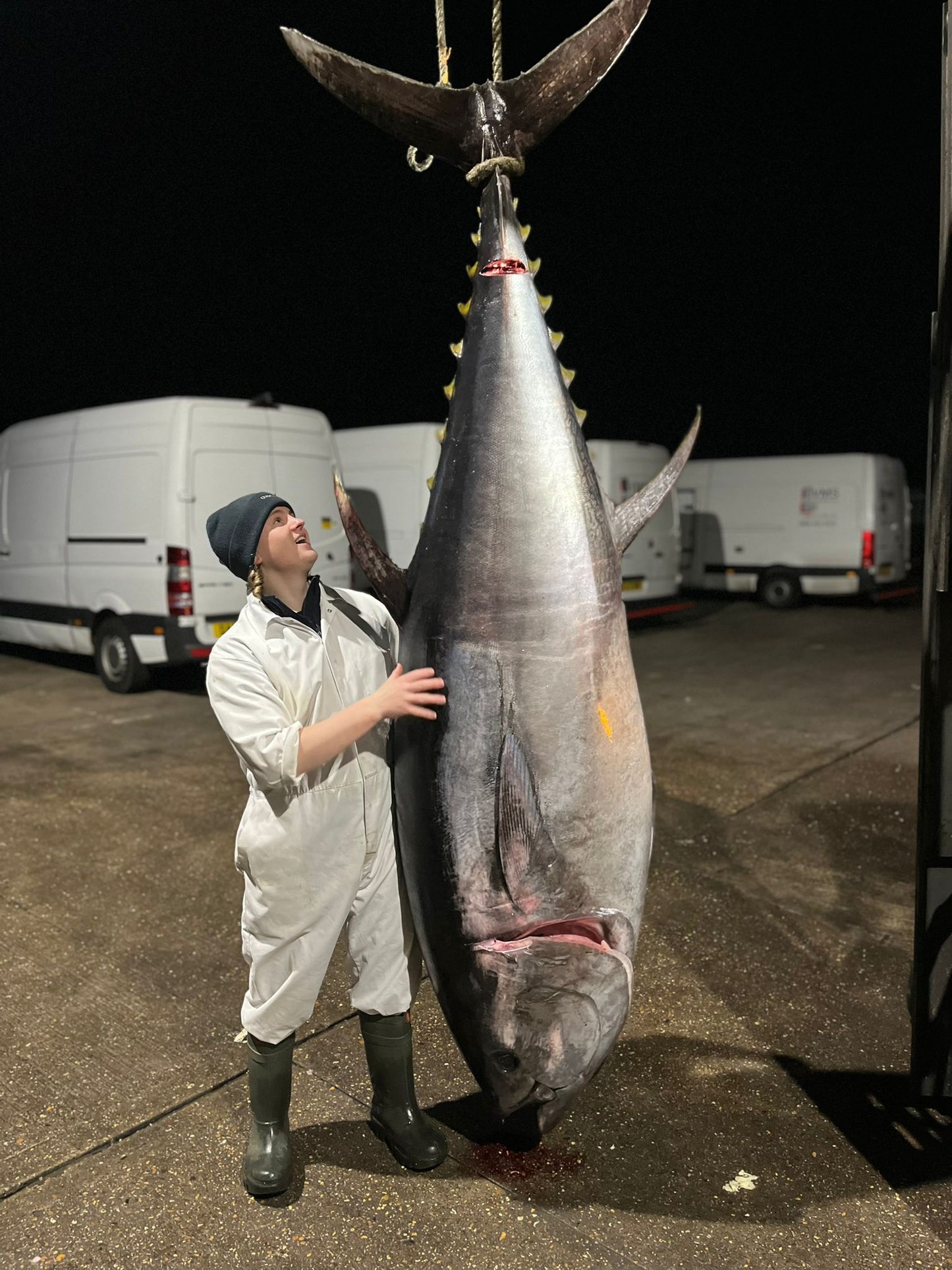 Cornish Tuna Belly (1kg)